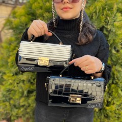 کیف ورنی دلفینا